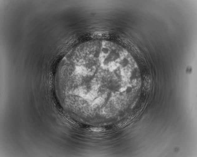 X0000098120659200805021157