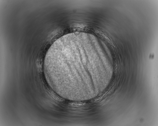 X0000098120661200805021157