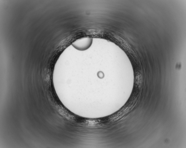 X0000098120662200805021157