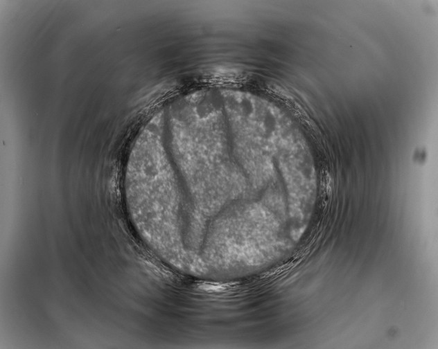 X0000098120663200805021158