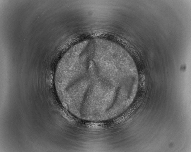 X0000098120664200805021158