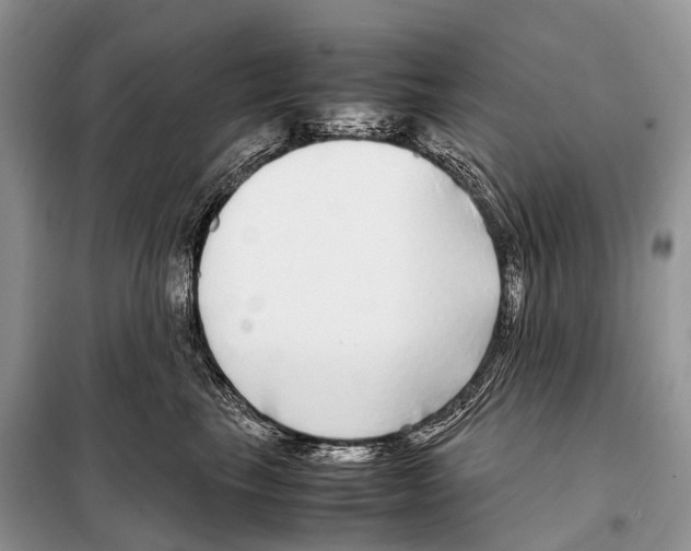 X0000098120665200805021158