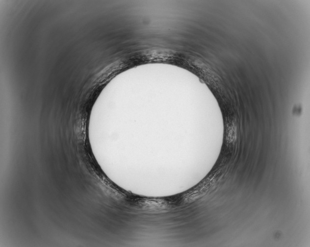 X0000098120666200805021158