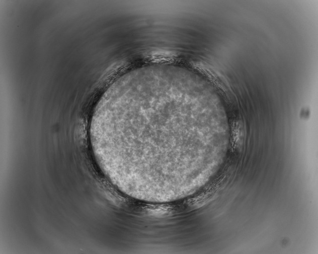 X0000098120667200805021158