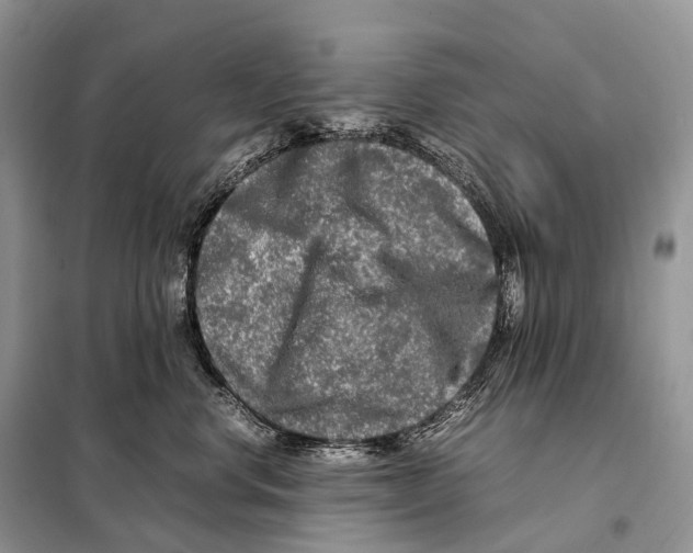 X0000098120668200805021158