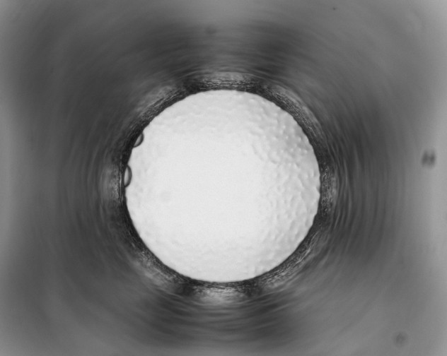 X0000098120669200805021158