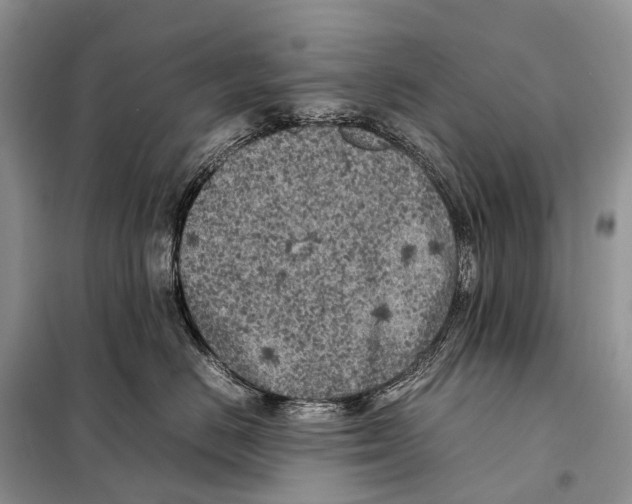 X0000098120670200805021158