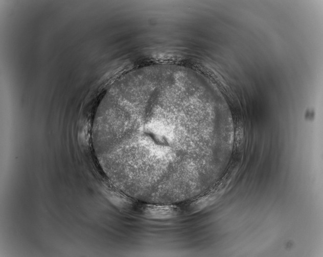 X0000098120671200805021158