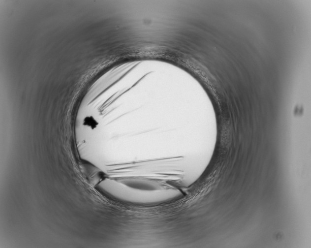 X0000098120673200805021157