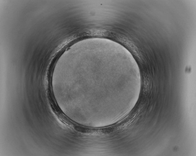 X0000098120674200805021157