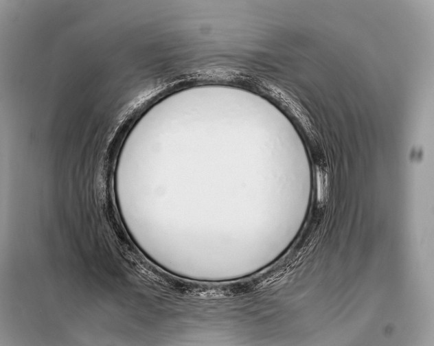 X0000098120675200805021157