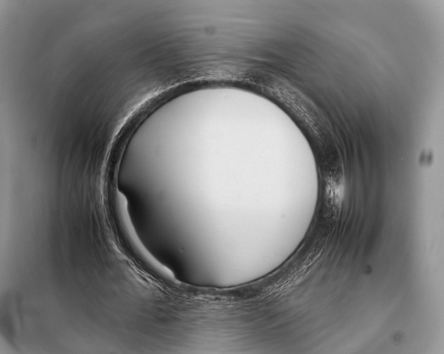 X0000098120676200805021157