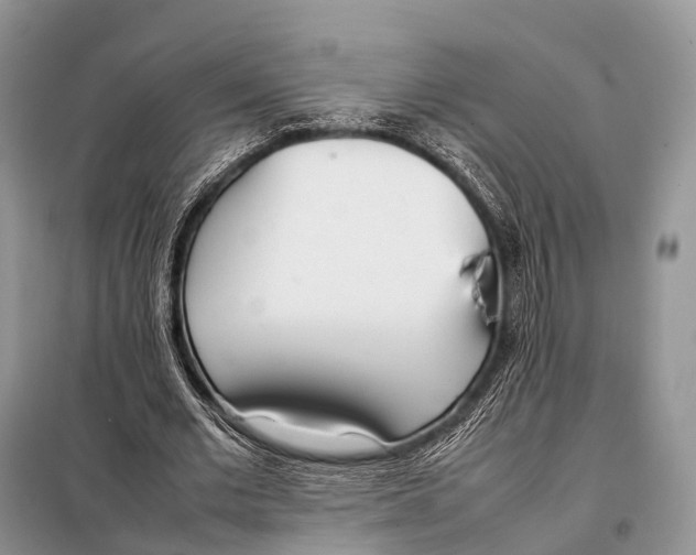 X0000098120677200805021157