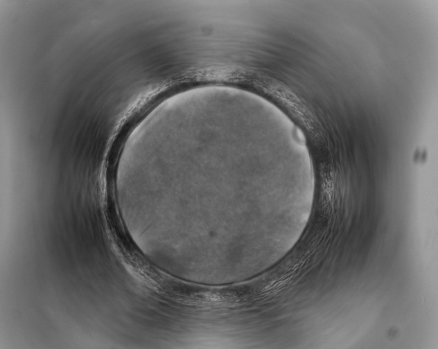 X0000098120678200805021157