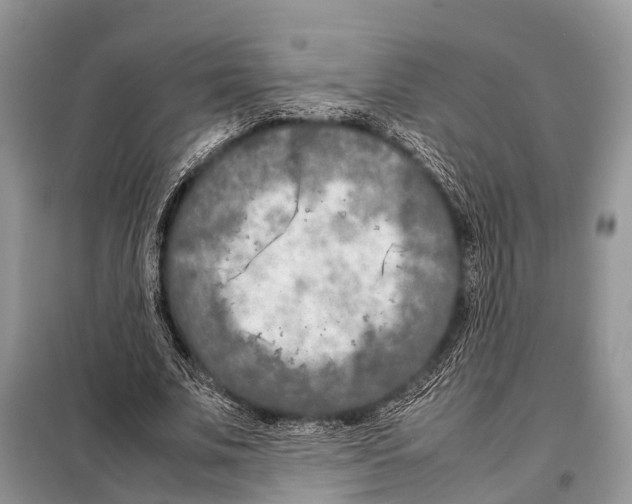 X0000098120679200805021157