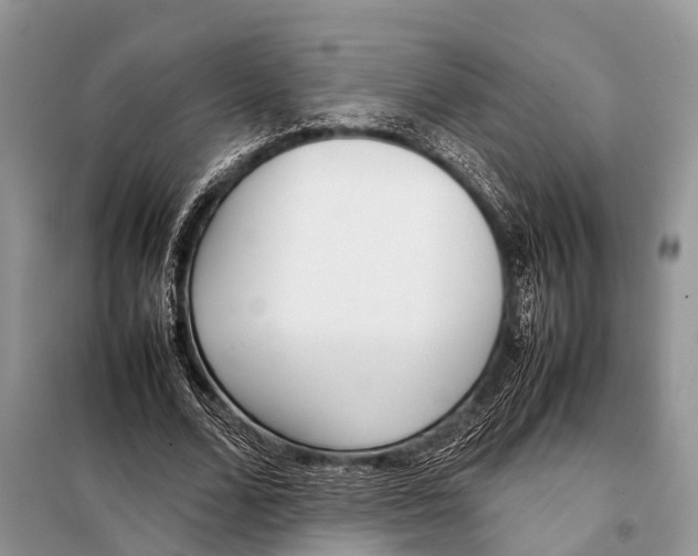 X0000098120680200805021157