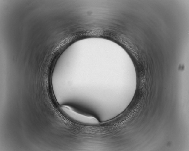 X0000098120681200805021157
