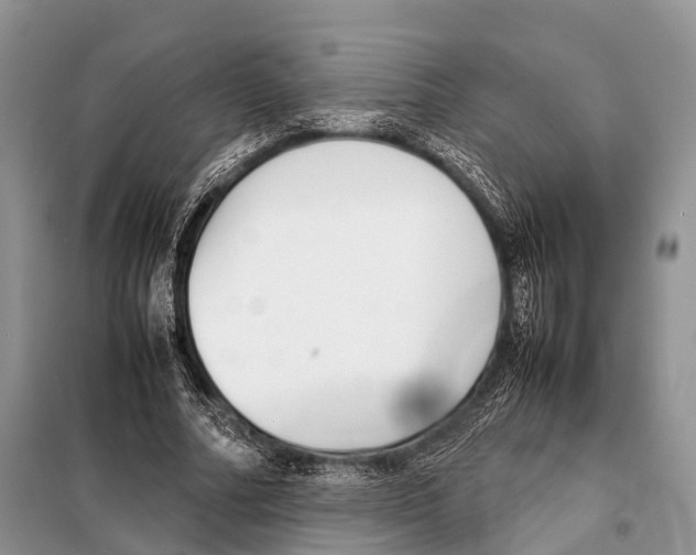 X0000098120682200805021157