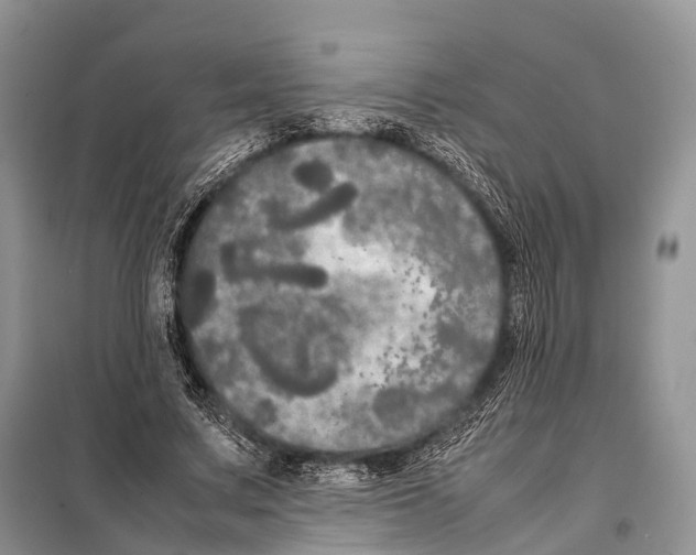 X0000098120683200805021157