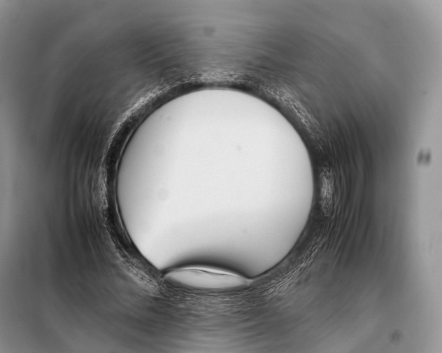 X0000098120684200805021157