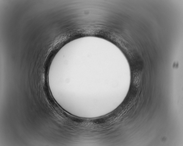 X0000098120685200805021157