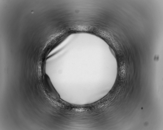 X0000098120688200805021157