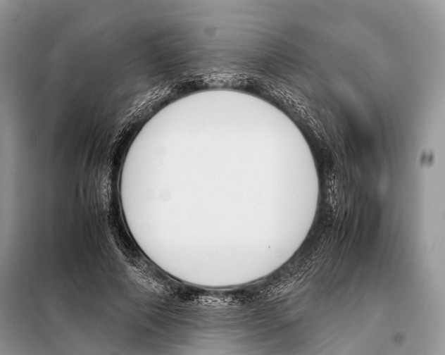 X0000098120690200805021157