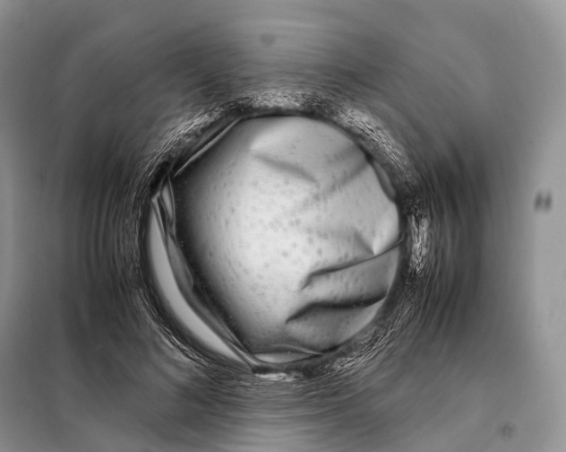 X0000098120692200805021157