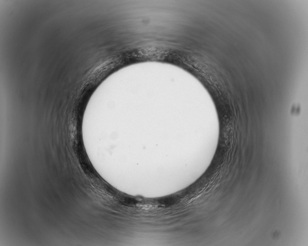 X0000098120693200805021157