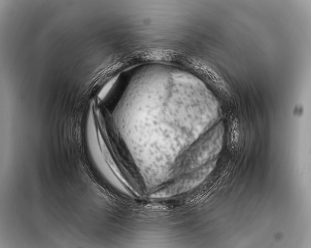 X0000098120696200805021157
