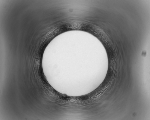 X0000098120697200805021157
