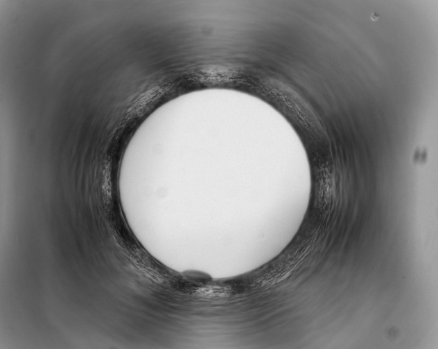 X0000098120700200805021157