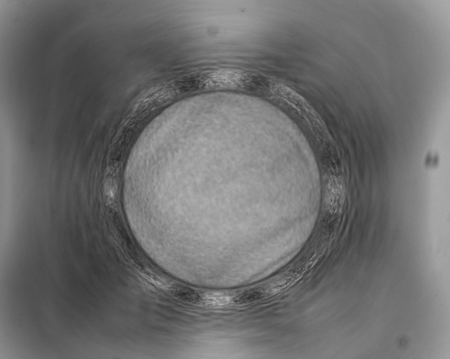 X0000098120701200805021157