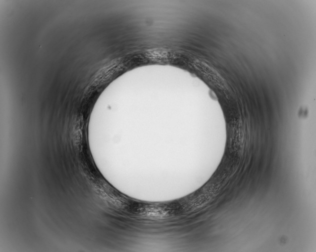 X0000098120702200805021157