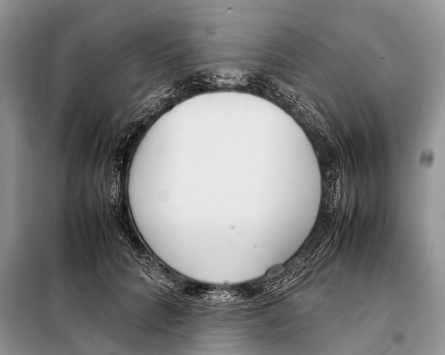 X0000098120704200805021157