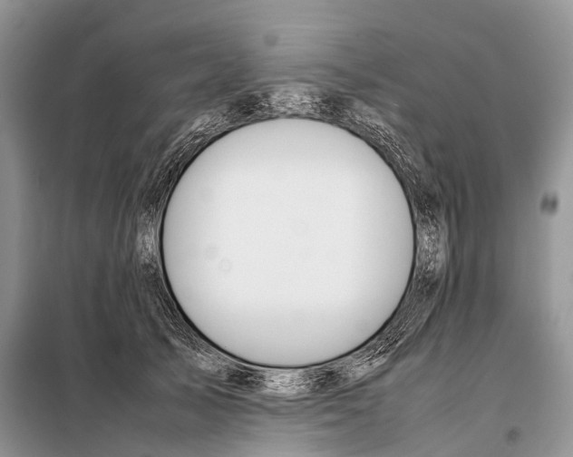 X0000098120705200805021157