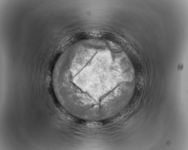 X0000098120707200805021157