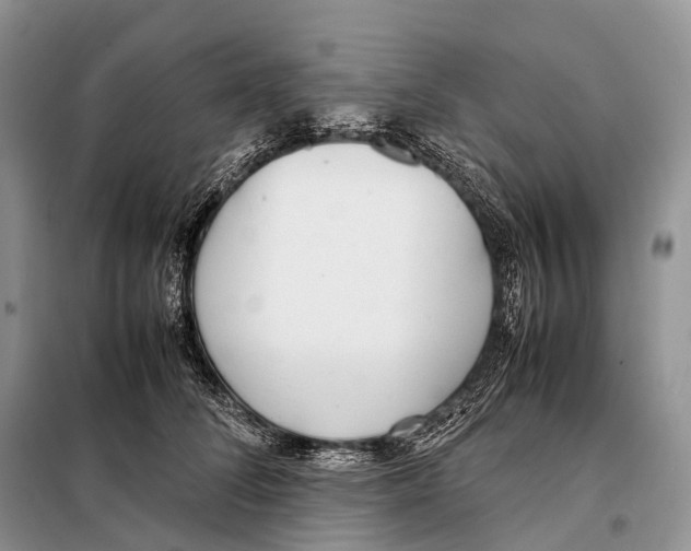X0000098120708200805021156