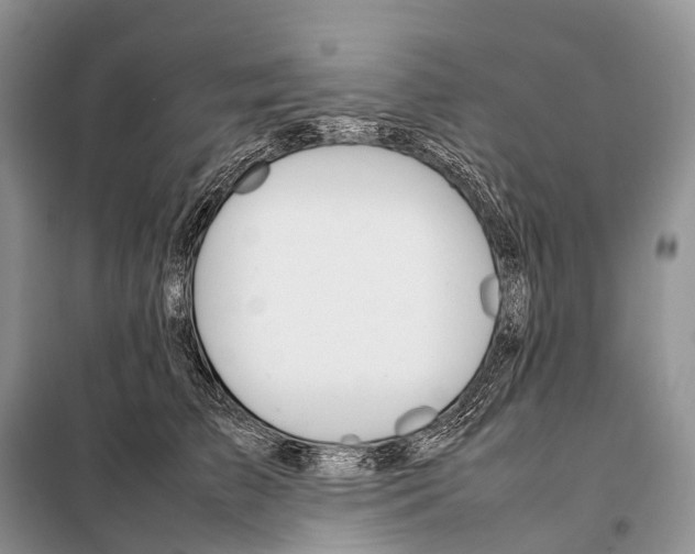 X0000098120709200805021156