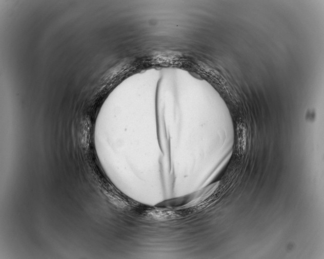 X0000098120712200805021156