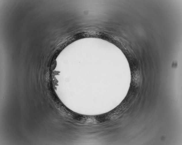 X0000098120715200805021156