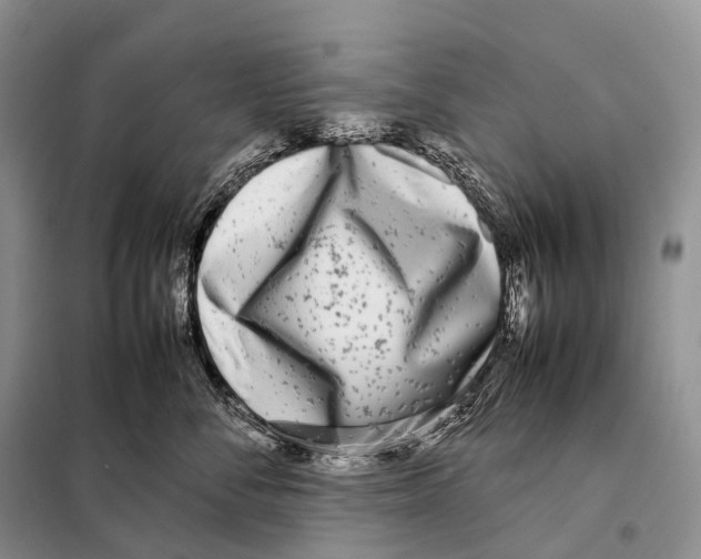 X0000098120716200805021156