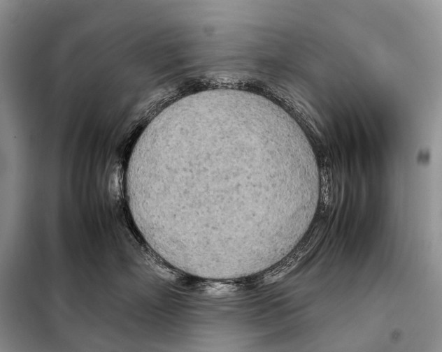 X0000098120718200805021156