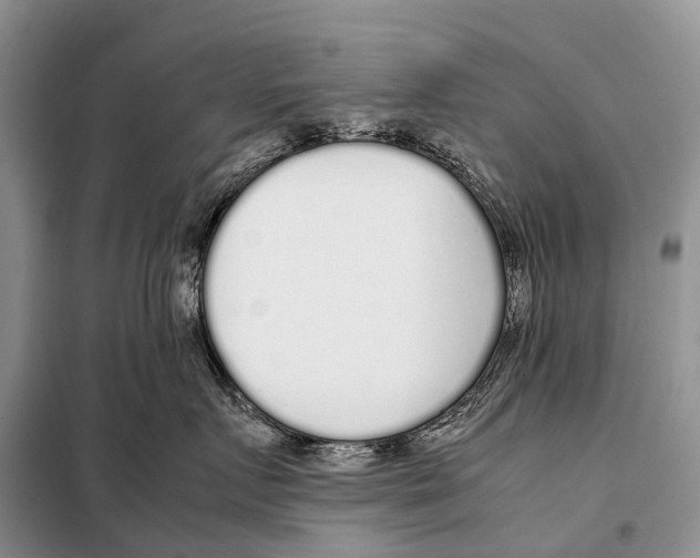 X0000098120719200805021156