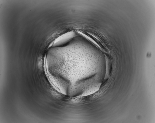 X0000098120720200805021156