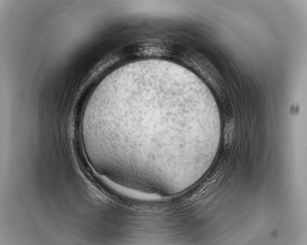 X0000098120722200805021156