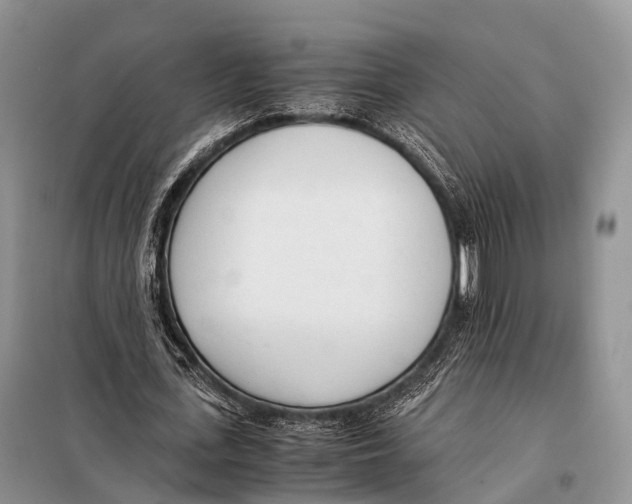 X0000098120723200805021156
