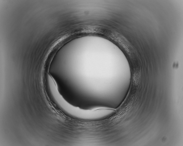 X0000098120724200805021156