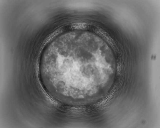 X0000098120725200805021156