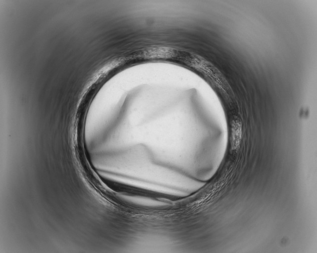 X0000098120726200805021156